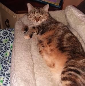 Meet your Posher, Christine